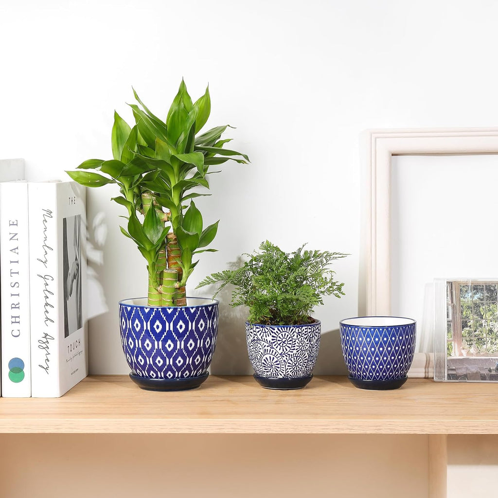 Selamica Ceramic Succulent Pots, 3.5 Inch Small Plant Pots for Indoor Plants Cactus Herbs, Succulent Planters with