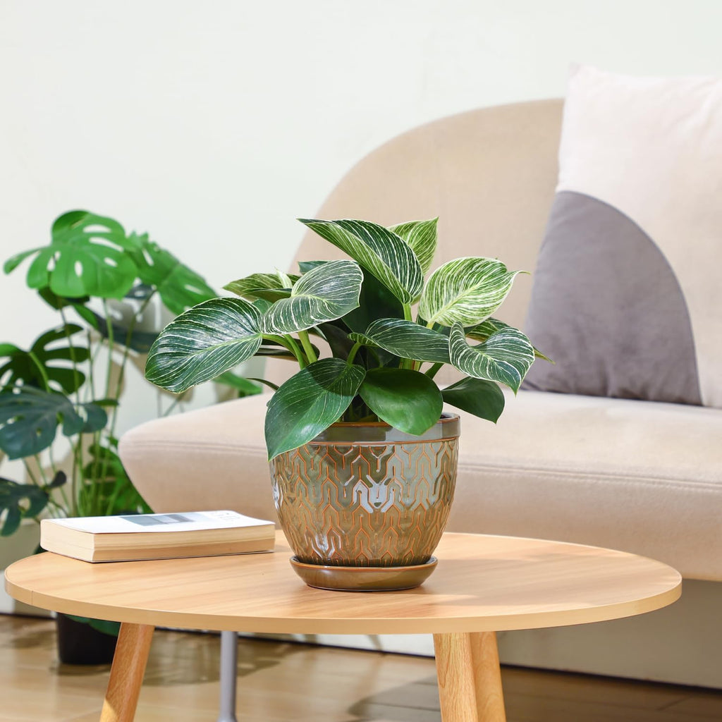 Sureasy 6.5 Inch Ceramic Plant Pots, Embossed Decorative Planters with Drainage Hole and Saucer, Modern Flower Pots for