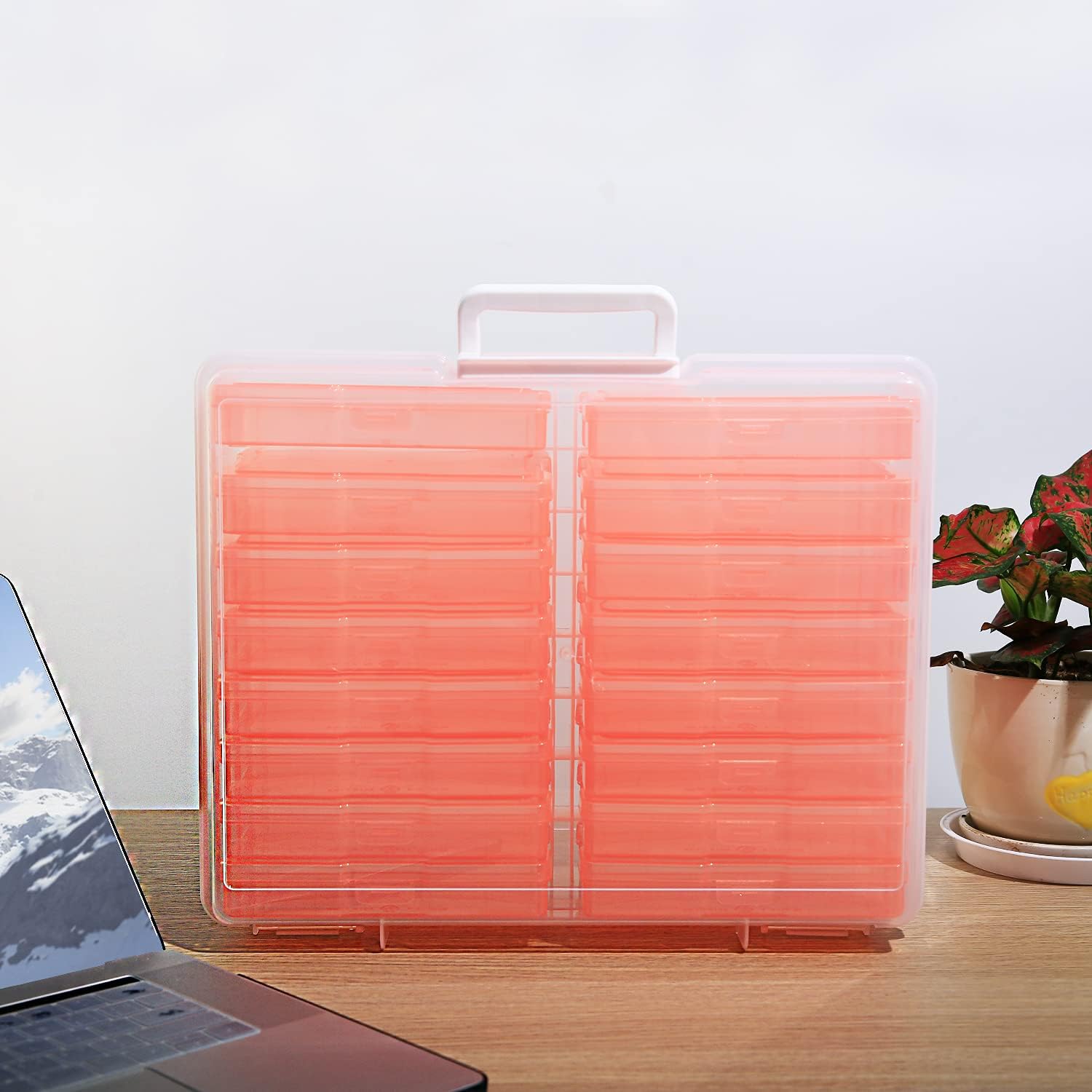 4" x 6" Photo Storage Case with Handle, 16 Inner Photo Organizer Keeper, Extra Large Storage Picture Boxes, Seed