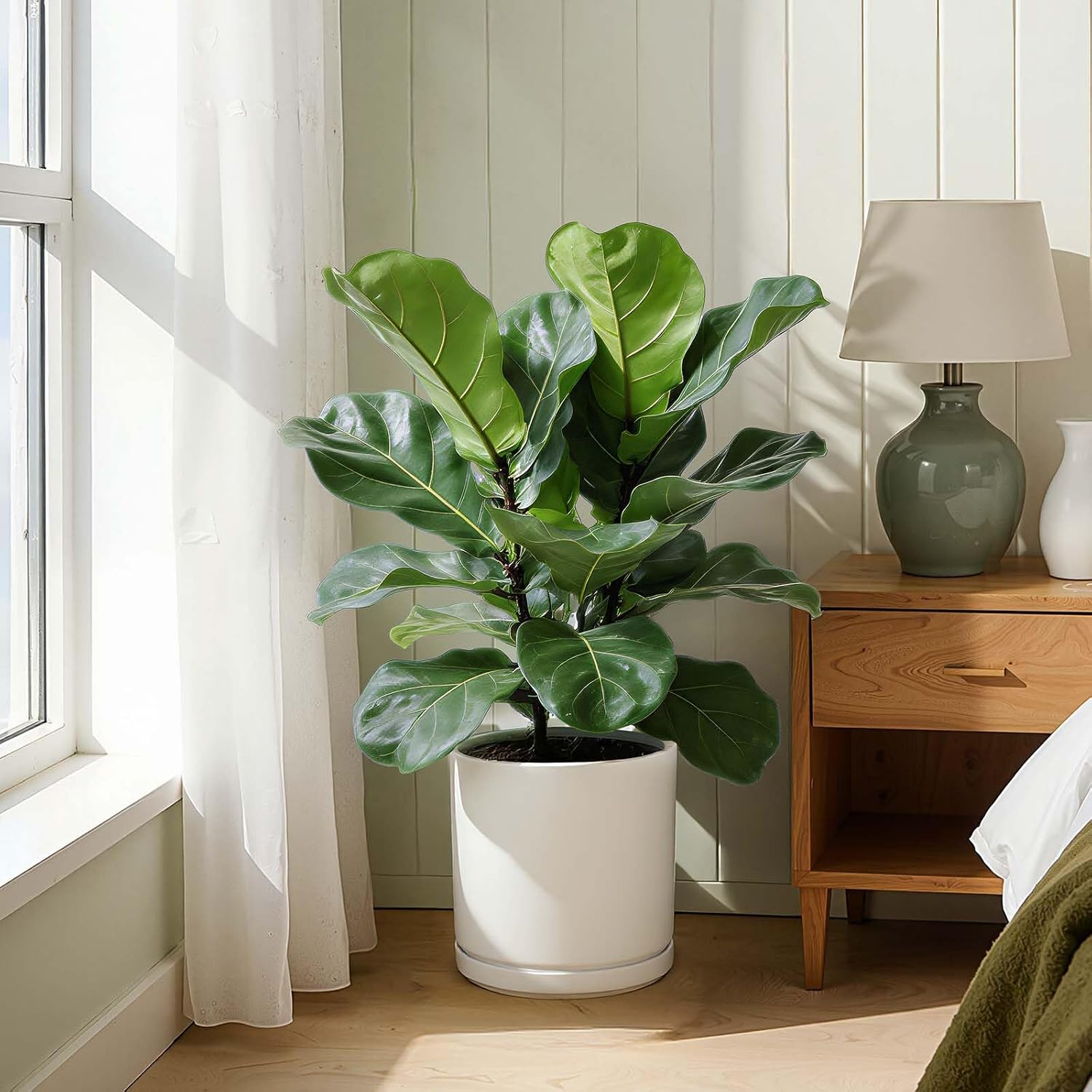 Kazeila 12 Inch Ceramic Planter Pot with Drainage Hole & Tray, Large Indoor Plant Pots, Modern Cylinder Flower Pot
