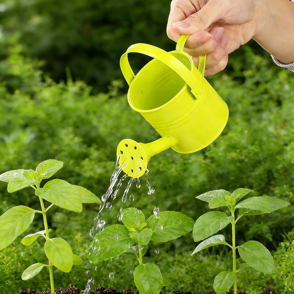 5pcs Kids Metal Watering Can Set: Mini Watering Cans for Indoor Plants - Small Metal Garden Can with Sprinkler Head for