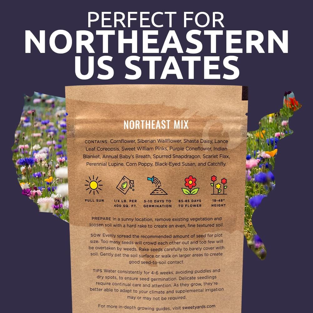 Northeast Wildflower Seed Regional Mixes - Bulk 1/4 Pound Bag - Over 30,000 Native Seeds - Open Pollinated and Non GMO