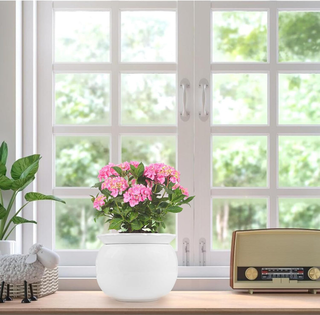 BUYMAX 6 Inch Self Watering Ceramic African Violet Pot Flower Pot Indoor | Absorbent Inner Pot Design | Automatic