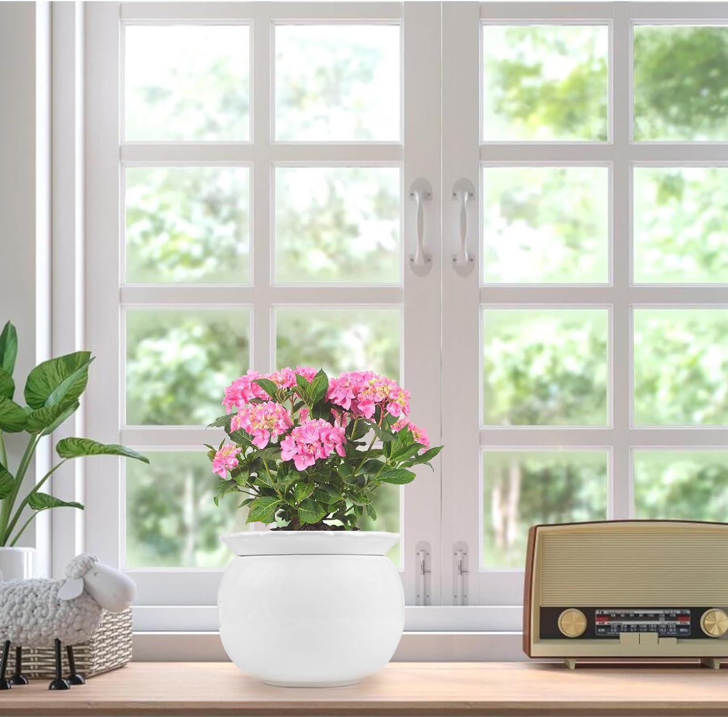 BUYMAX 6 Inch Self Watering Ceramic African Violet Pot Flower Pot Indoor | Absorbent Inner Pot Design | Automatic