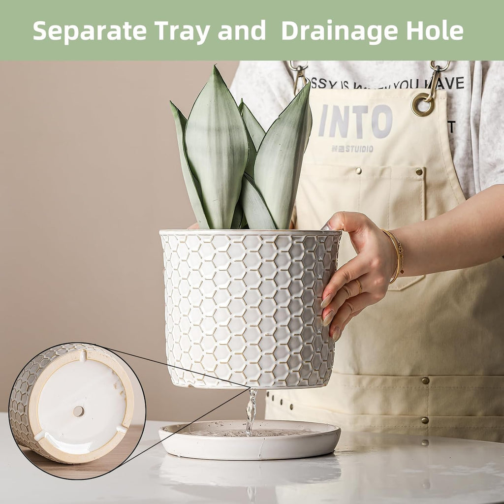 8 Inch Ceramic Plant Pot with Drainage Hole & Separate Saucer | Indoor/Outdoor Planter with Tray - Honeycomb Embosse