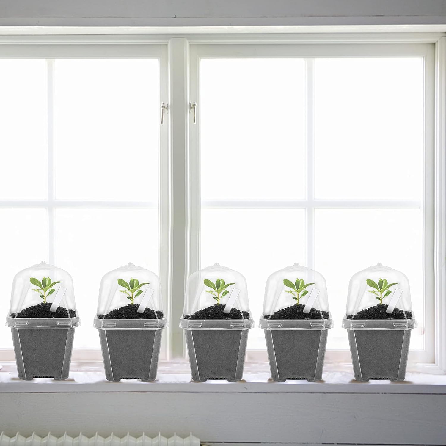 EBaokuup 30PCS Clear Plant Nursery Pots with Humidity Dome - 3" Durable Plastic Gardening Pot, Small Plant Container
