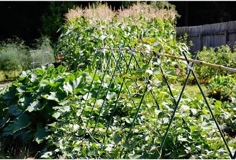 G-LEAF Garden Stakes 5 ft Plastic Coated Steel Tube Sturdy Metal Plant Sticks for Tomato,Cucumber,Bean,Tree,Pack of 25