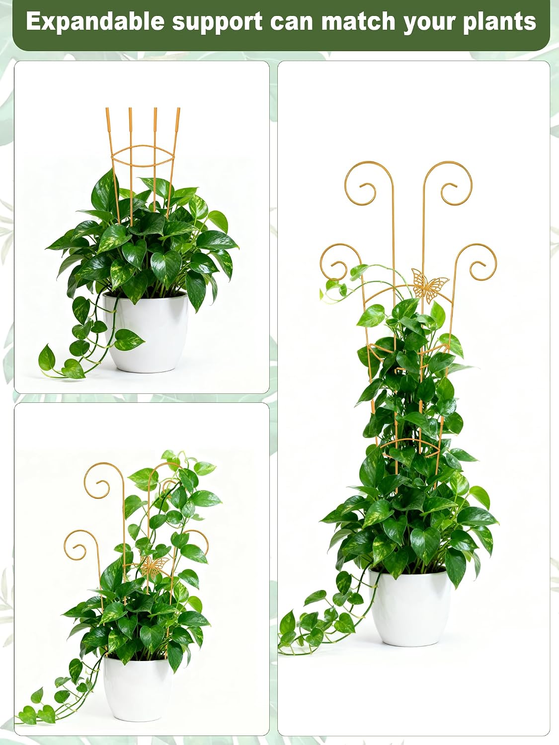 Butterfly Metal Monstera Trellis, Gold Garden Treleaf Expandable Trellis | 4 Pack 30 Inch Taller Plant Support for