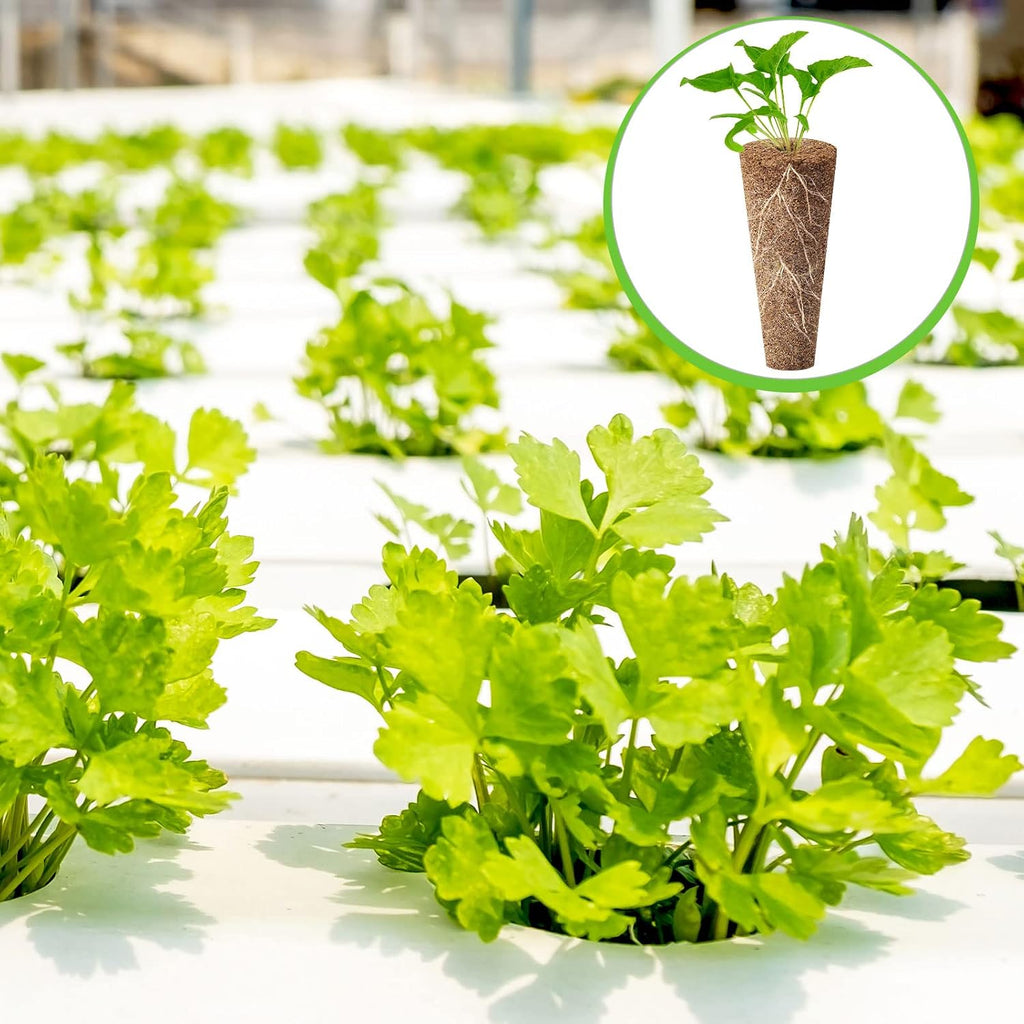 Chumia 200 Pcs Hydroponics Grow Sponges Replacement Root Growth Sponges Pods Kit Seed Starter Pods for Hydroponics