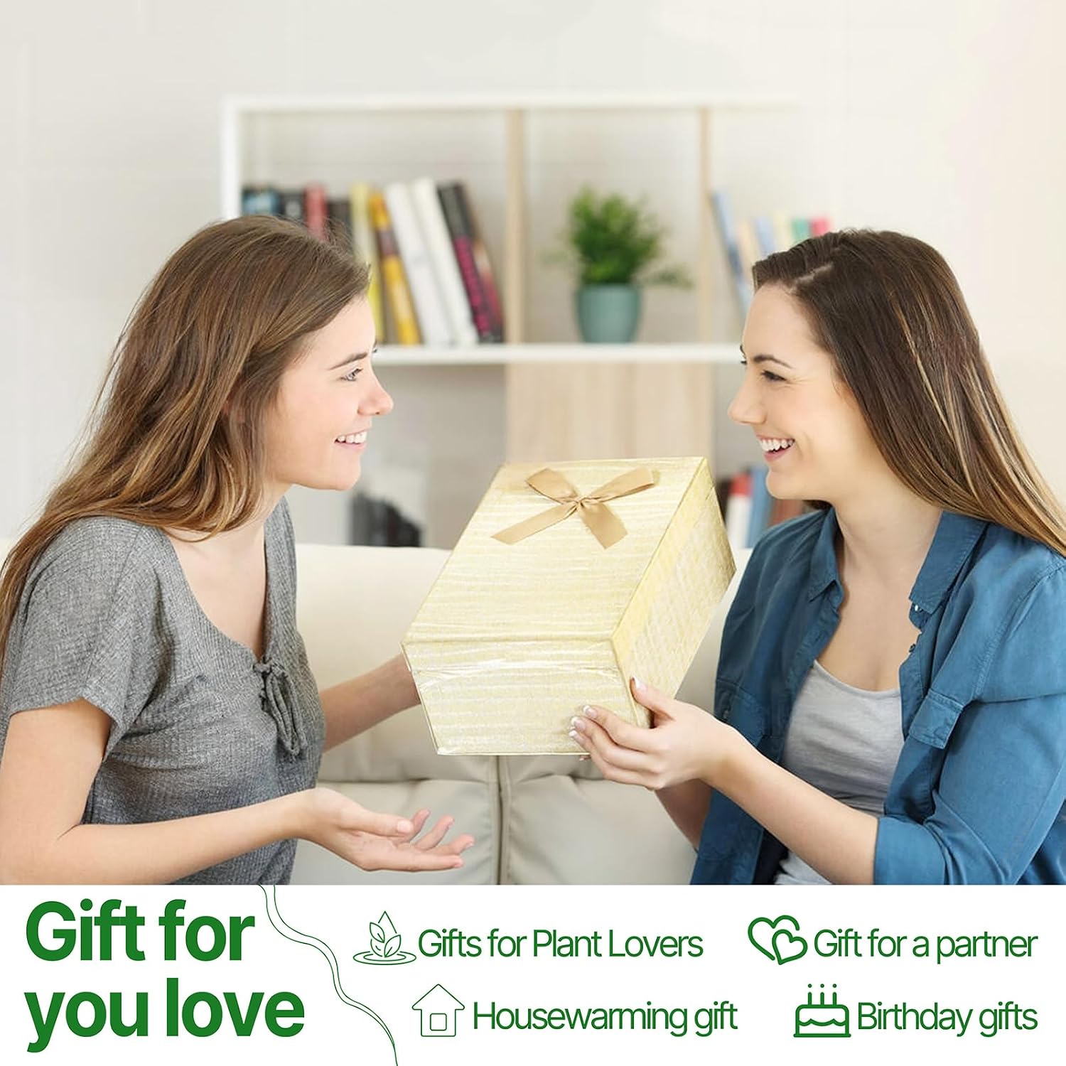 Plant Propagation Stations Heart Plant Terrarium Kit | Gift for Women Plant Lover Glass Vases