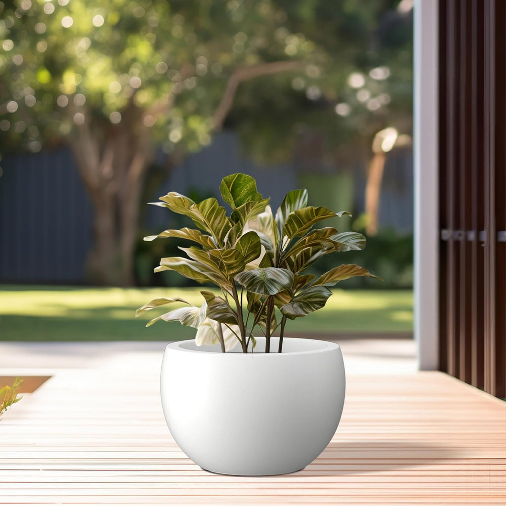Kante Accent Round Bowl White Concrete Planter 15.7" Dia, Outdoor | Rubber Plug for Indoor, Drainage for Garden