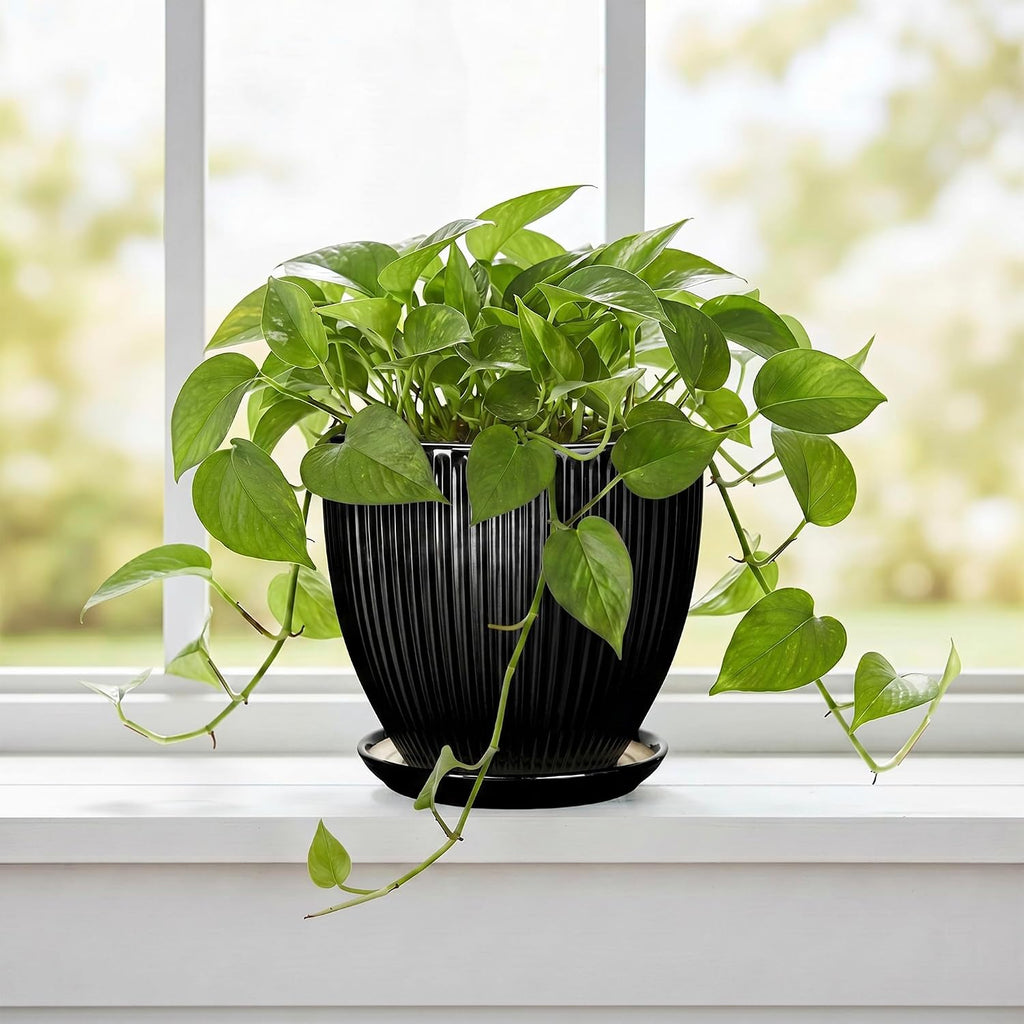6 Inch Ceramic Planter, Indoor Plant Pots for Small Plants, Decorative Flower Pots with Drainage Hole and Saucer, Round