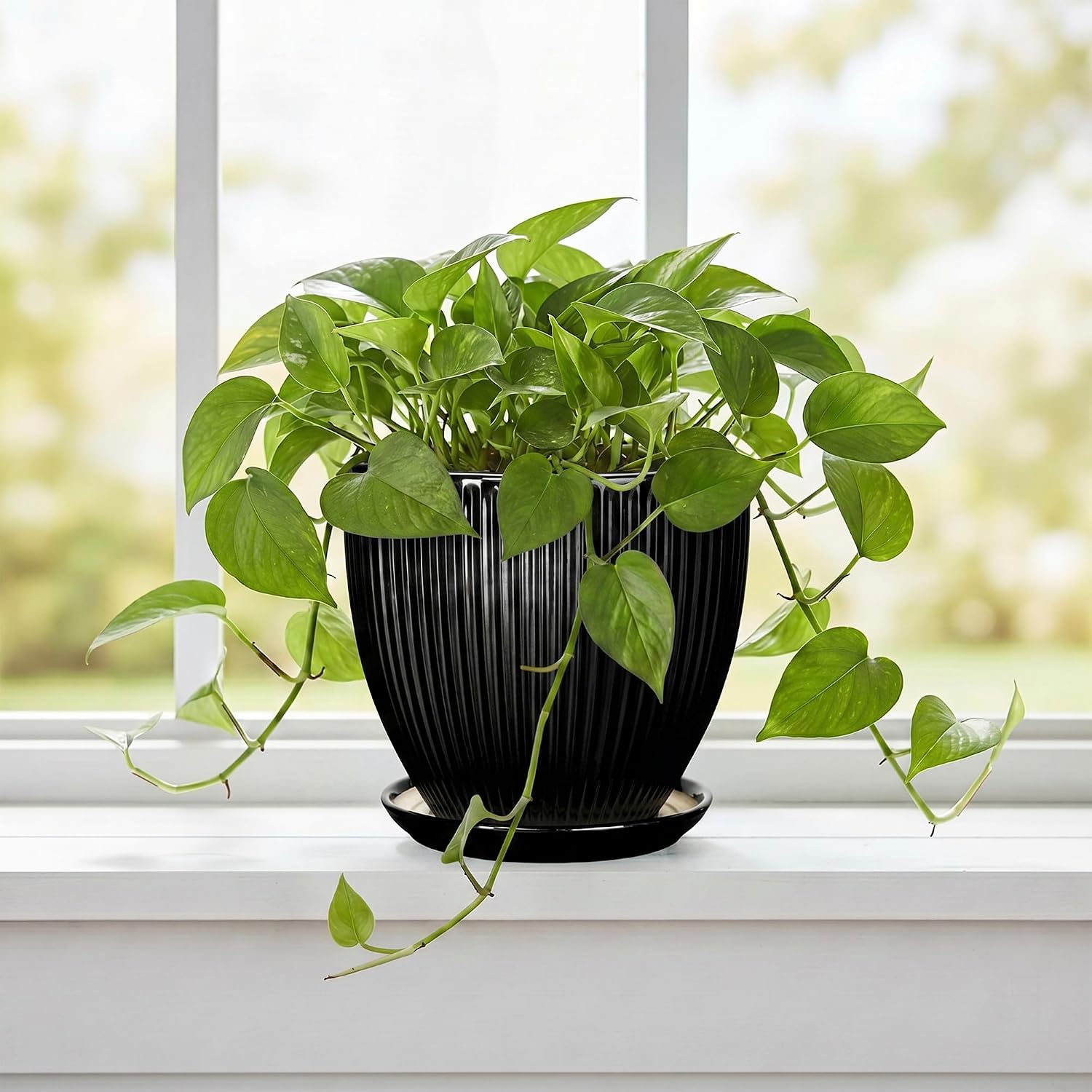 6 Inch Ceramic Planter, Indoor Plant Pots for Small Plants, Decorative Flower Pots with Drainage Hole and Saucer, Round