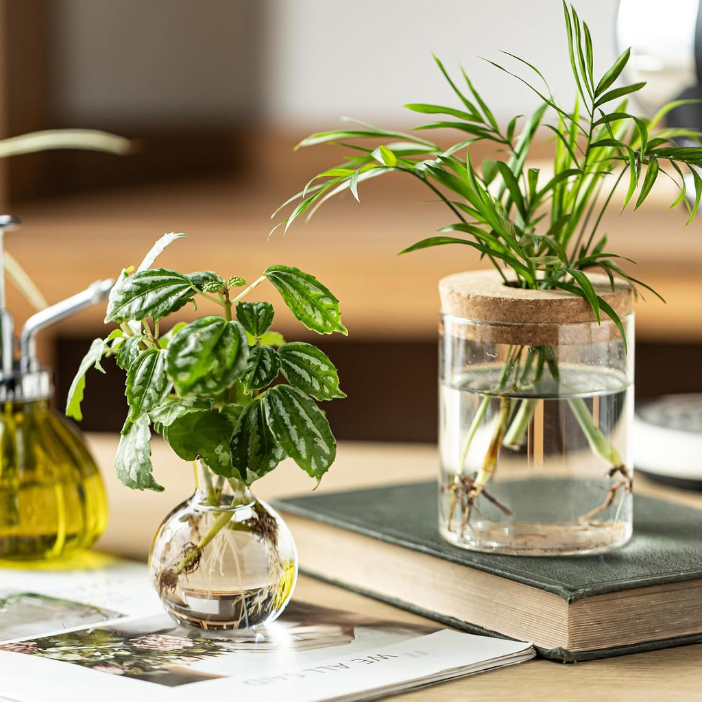 Plant Propagation Stations, 2 Style Glass Planter Terrariums, Propagation Vases for Plant, Plant Propagation Jars for