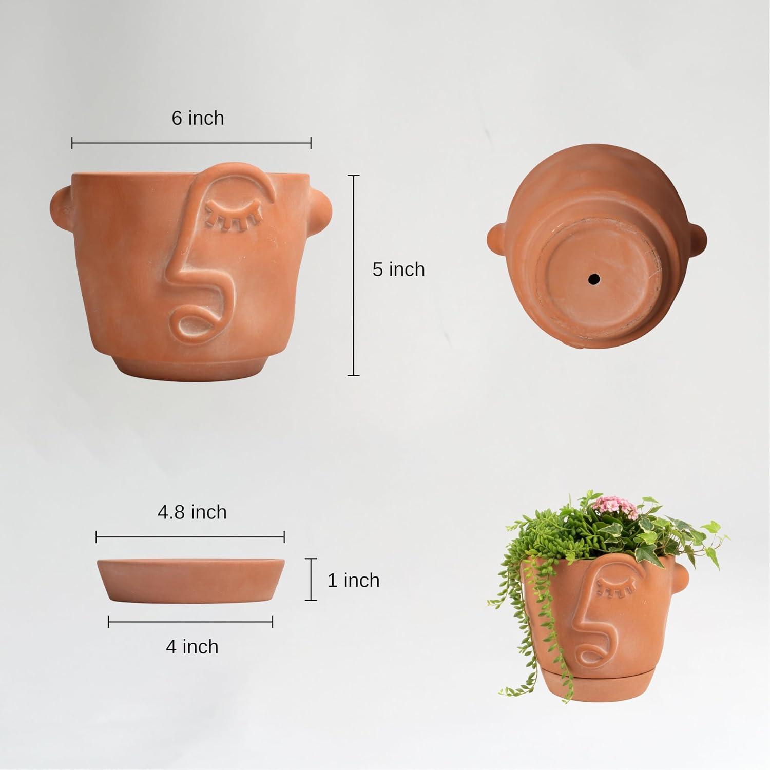 HERDUK 6 Inch Terracotta Abstract Face Planter with Drainage & Saucer – Artistic Ceramic Flower Pot for Indoor Plants