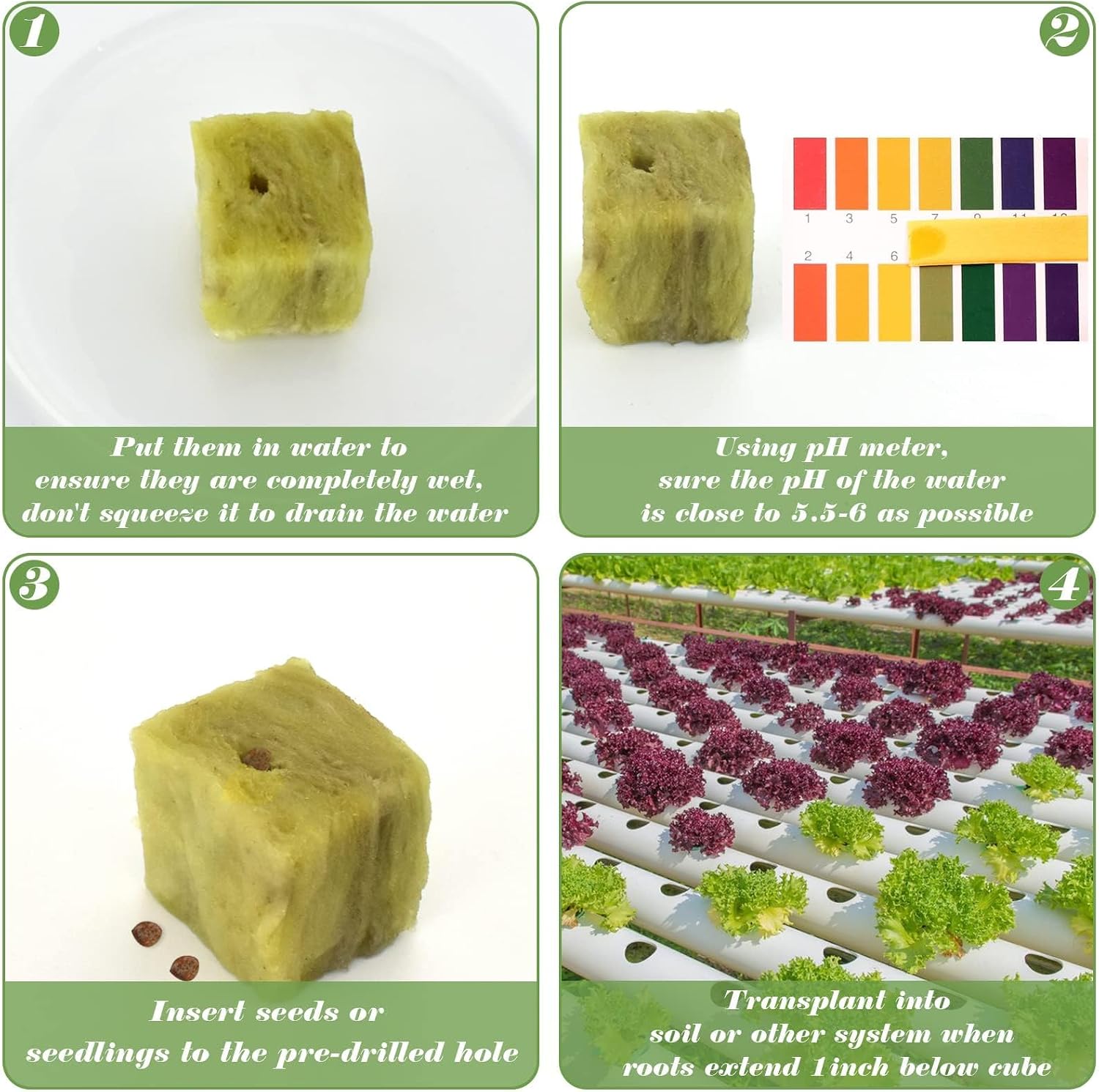 Halatool 1.2 in Rockwool Cubes for Hydroponics, 144 Plugs Seed Starter Cube | High Germination Rate for Vegetables &