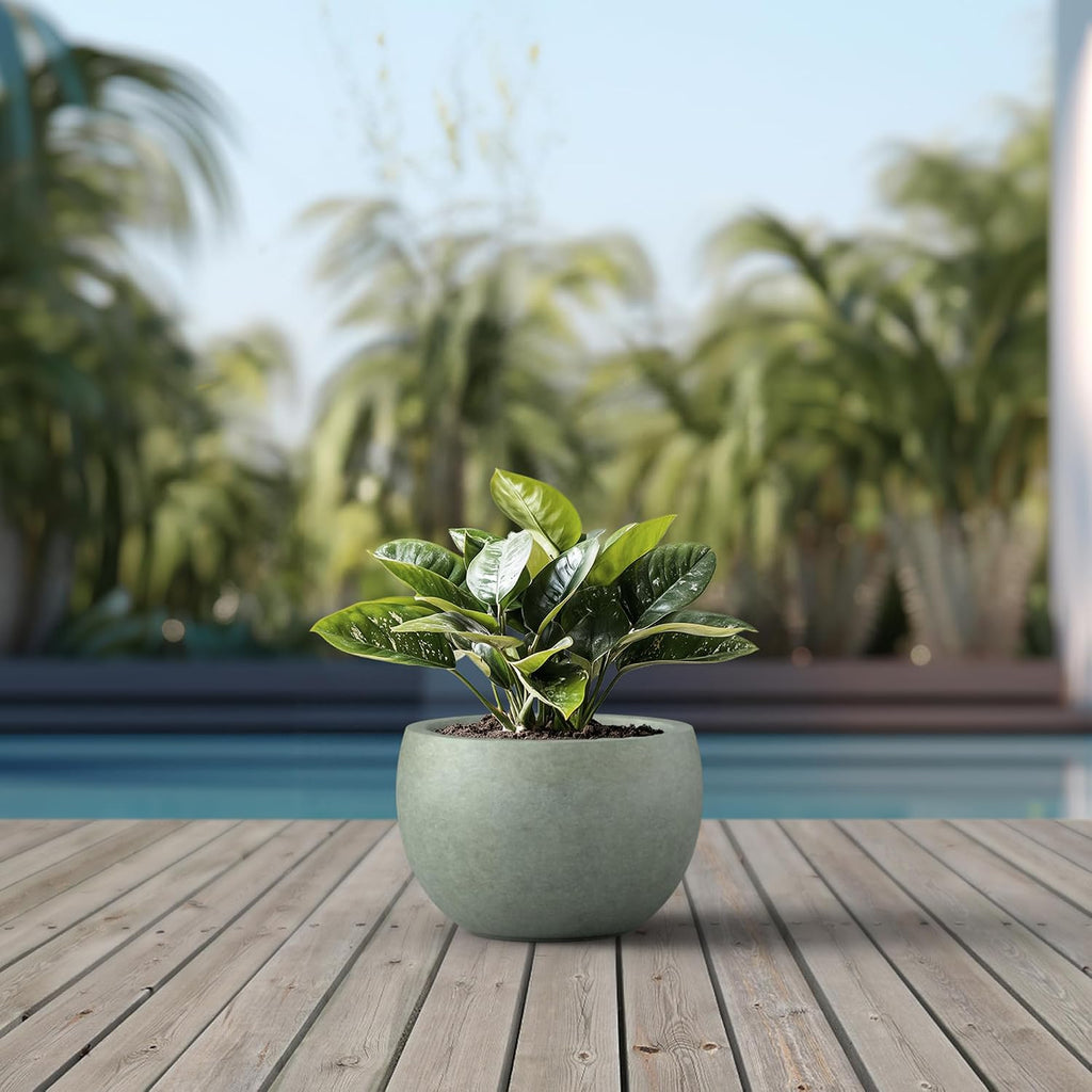 Kante Large Round Bowl Mint Green Concrete Planter 19.9" Dia, Outdoor | Rubber Plug for Indoor, Drainage for Garden