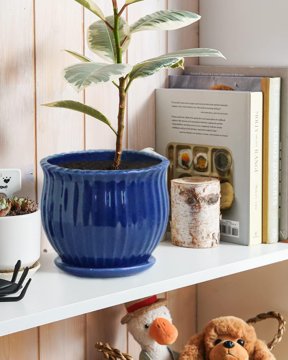 Ceramic Flower Pots, Ceramic Planters with Drainage Hole and Saucer, Modern Round Ceramic Succulent Plant Pots with