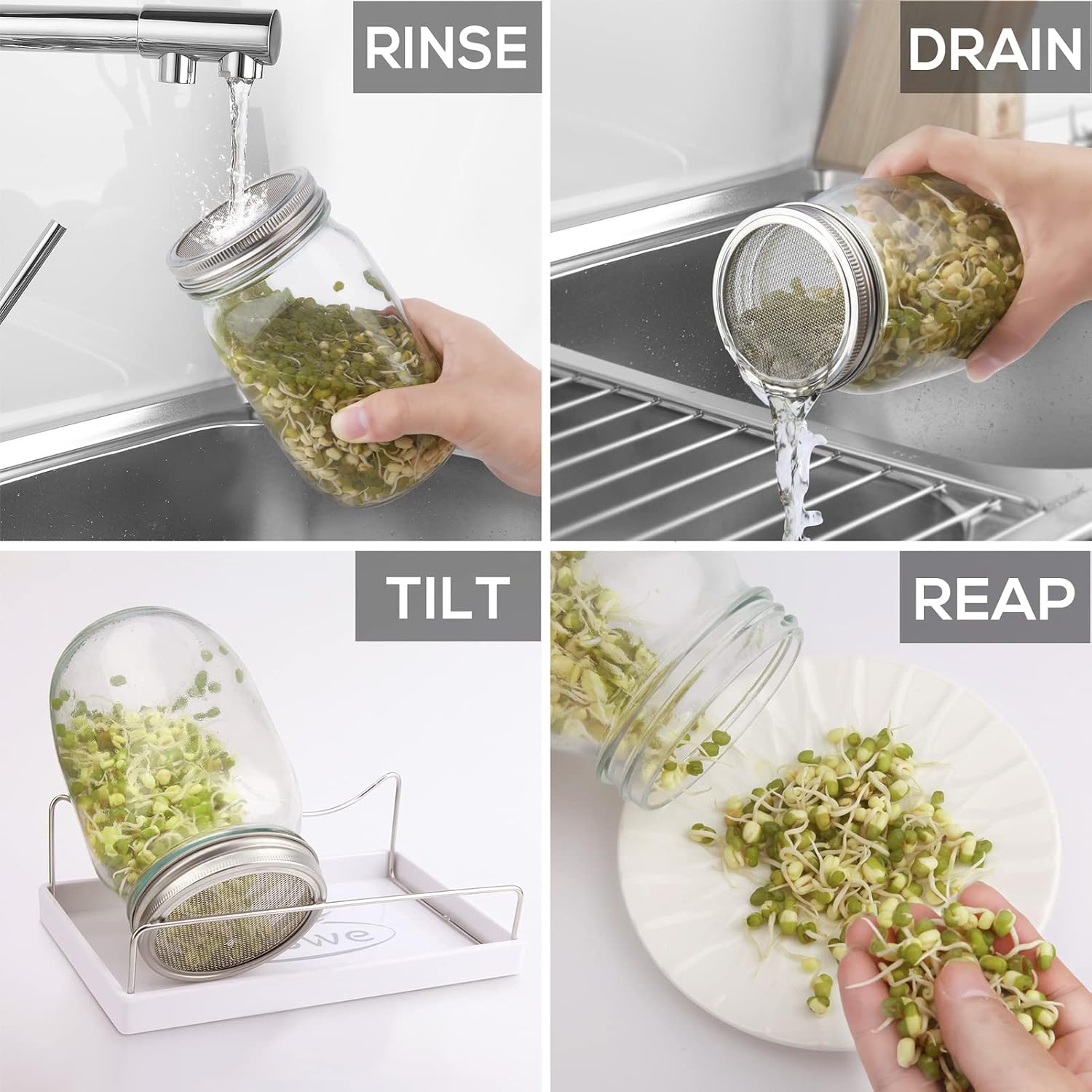 Sprouting Jar Kit-2 Wide Mouth Quart Mason Jars with 316 Stainless Steel Screen Sprout Lids, Drip Tray, Stand | Seed