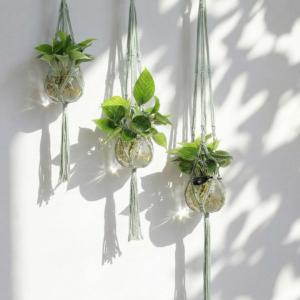 Colingmill 6 Pcs Plastic Plant Propagation with Boho Macrame Hanger Wall Plant Propagation Station Hanging Holder