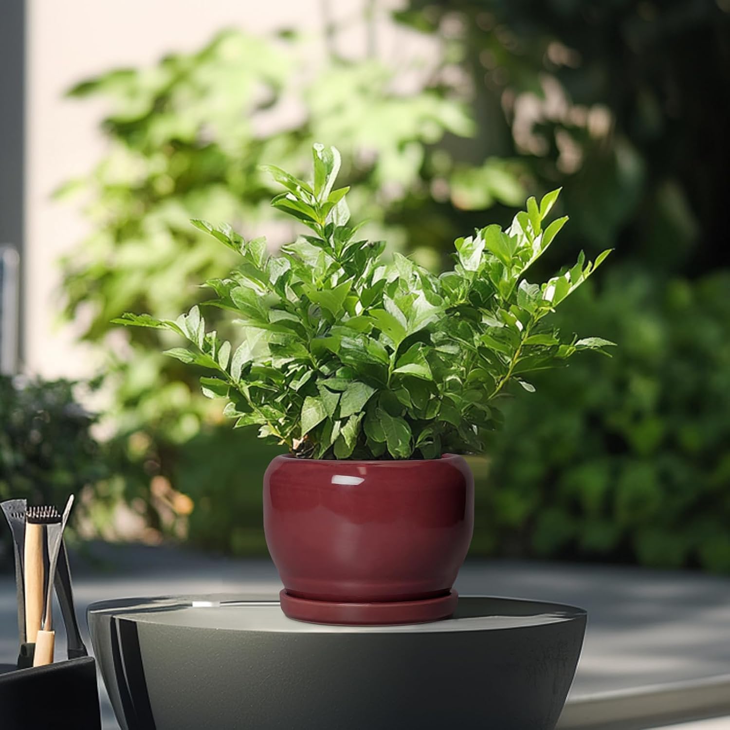 SQOWL 6 Inch Plant Pot - Ceramic Planter for Indoor Plants Outdoor, Round Planter with Drainage Hole and Saucer