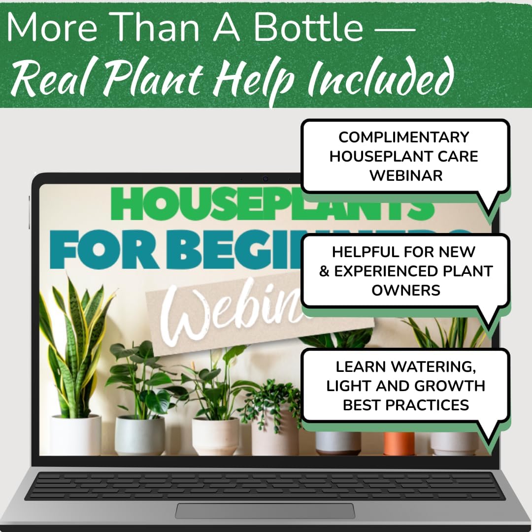 Stainless Steel Houseplant Watering Can, Brushed Gold, 1L Capacity
