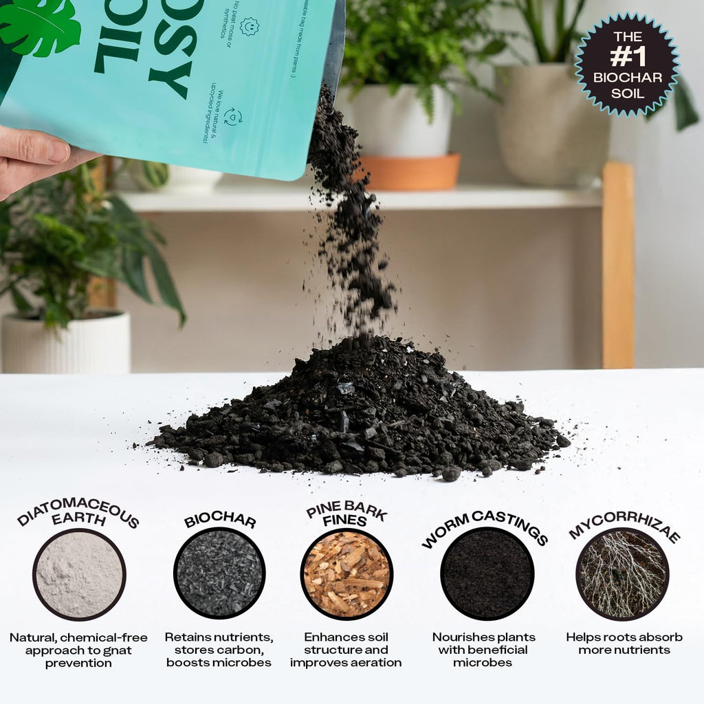 Rosy Soil Houseplant Potting Soil, Organic Indoor Potting Mix, 8 Quarts | Biochar and Worm Castings, For Monstera