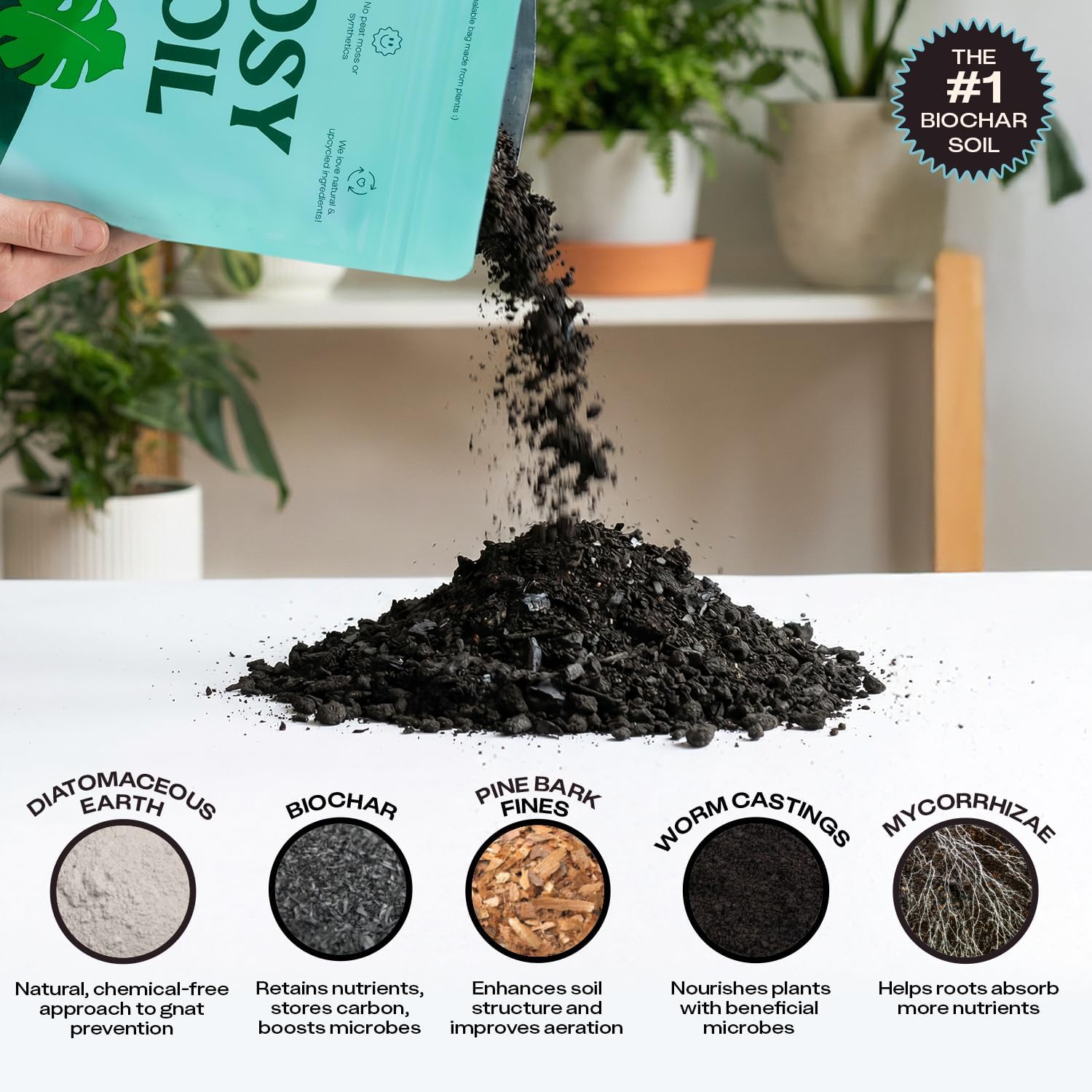 Rosy Soil Cactus and Succulent Potting Soil Mix (4 qts) + Indoor Potting Soil (8 qts) - Peat Free House Plant Soil