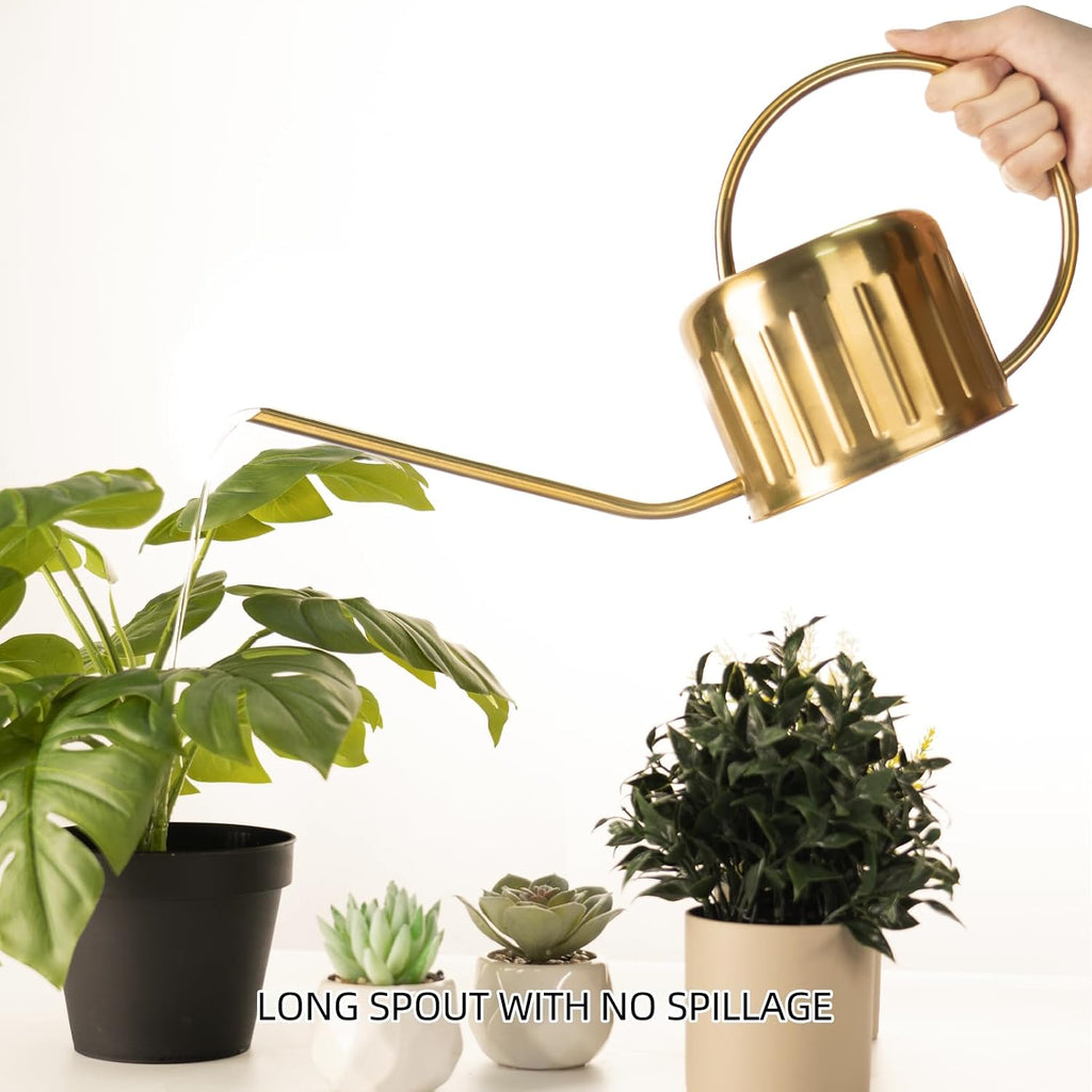 34oz/1L Stainless Steel Watering Can, Rust-Proof Indoor/Outdoor Watering Can for House Plants, Long Spout Water Can for