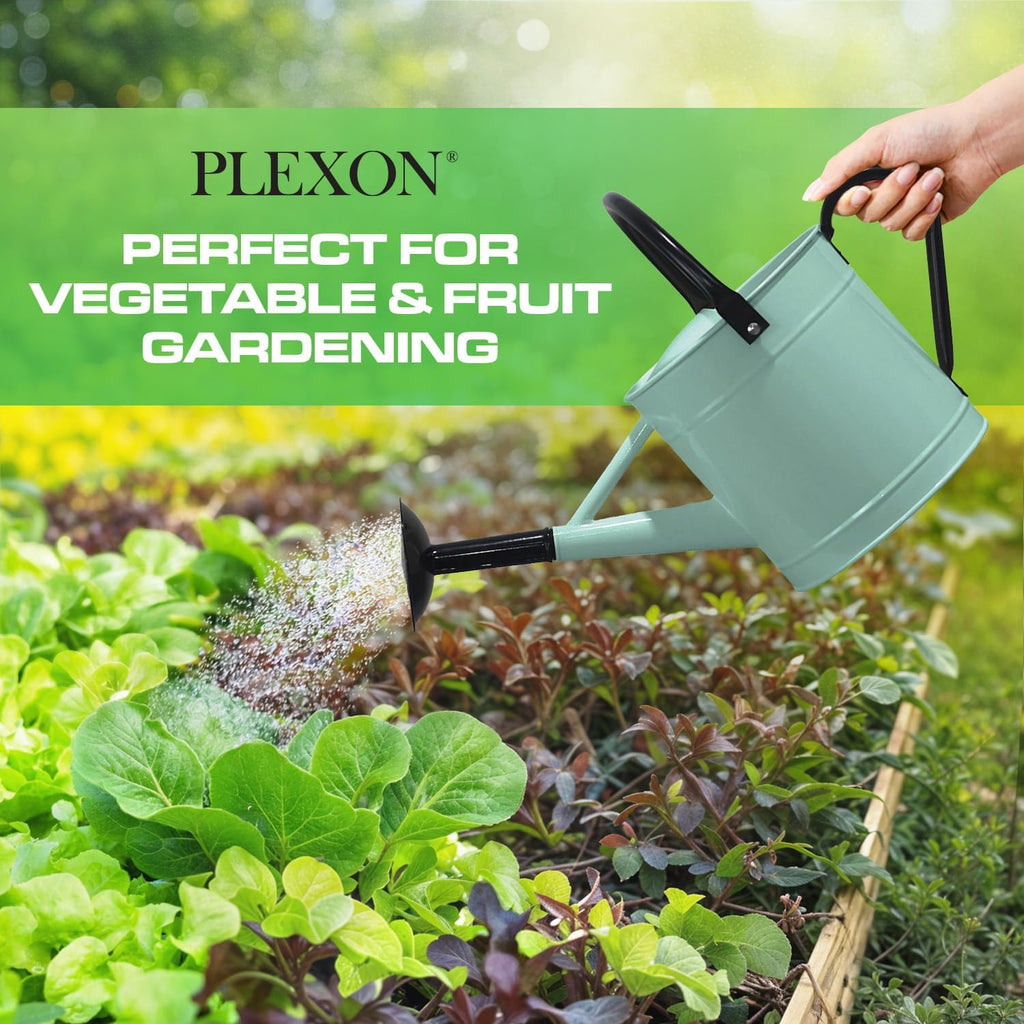 Plexon Metal Watering Can Outdoor 1 Gallon, Flower Plant Gardening Garden Large Watering Can Pot, Black Galvanized
