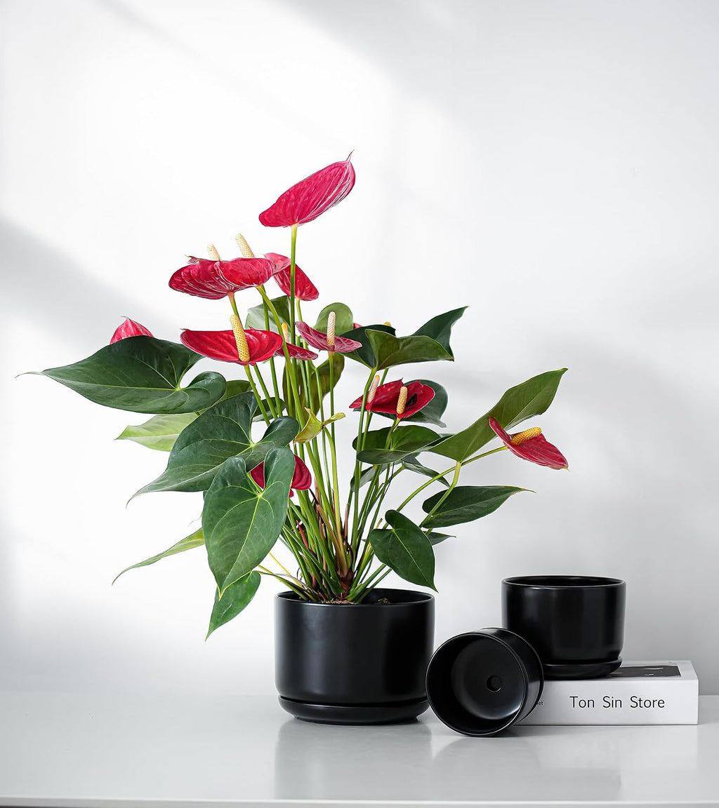 Flower Pots,Ceramic Pots with Drainage Holes & Saucer Set of 3(Matte Black) | Planters for Indoor Plants | Small
