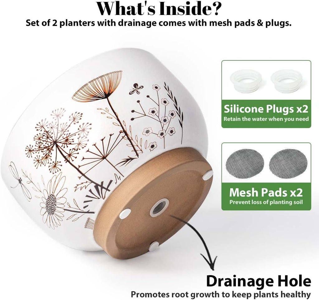 Terracotta Pots, 8+6 Inch Plant Pots, 2 Pcs with Drainage Holes | White & terracotta ceramic planters with botanical