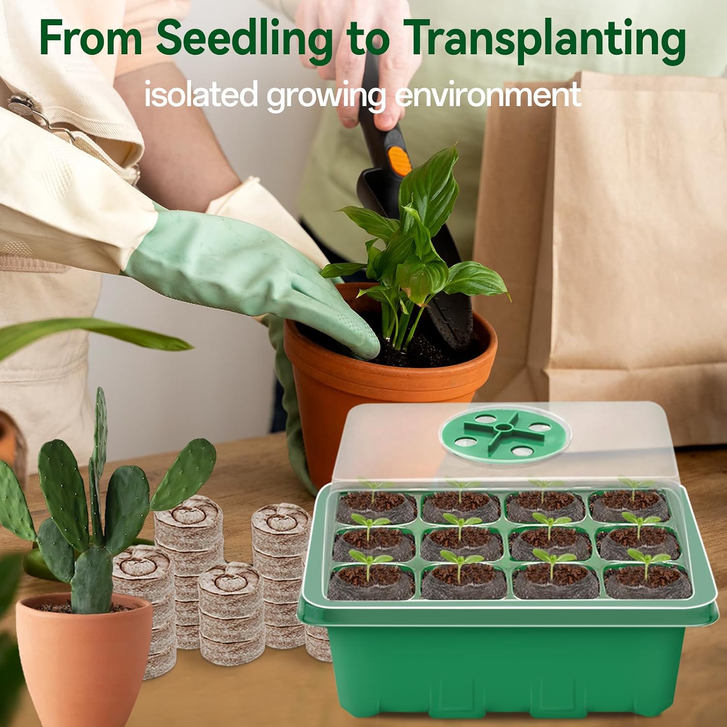 Seed Starter Tray with Peat Pellets, Green Starting Seeds Kit for Plants | 8 Trays (96 Cells) + 100 Organic Peat