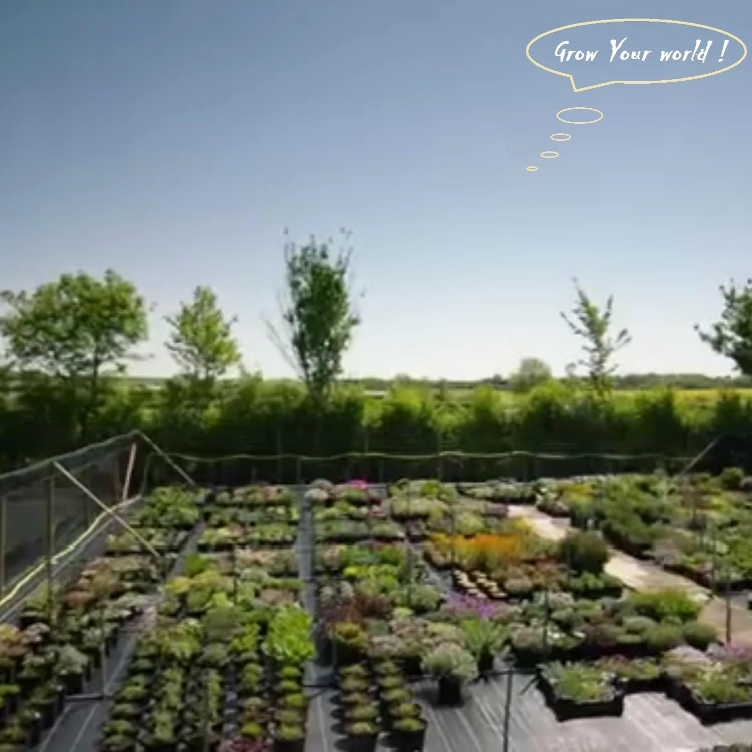 5-Pack 15 Gallon Thickened Plant Grow Bags (20x12 in) Fabric Plant Pots for Potato,Tomato Planters,Herbs Veggies