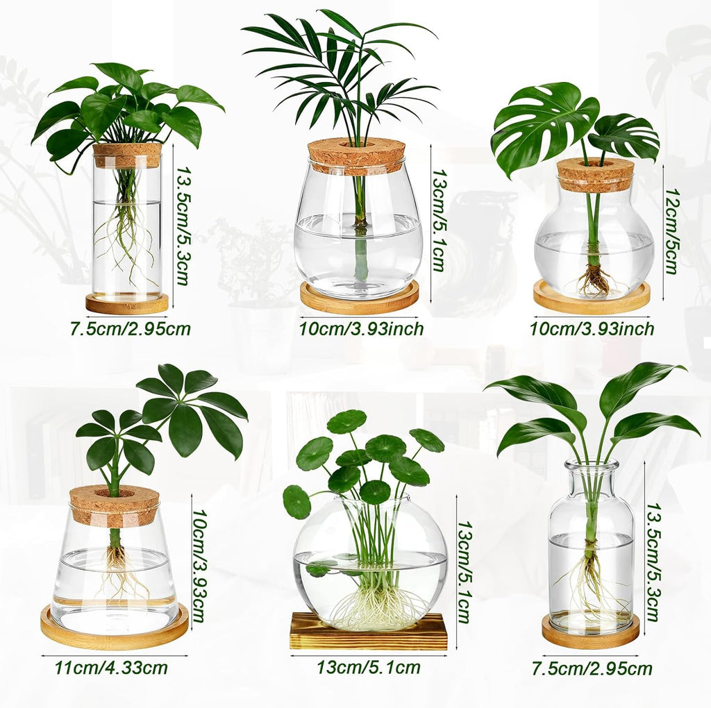 6 Pcs Plants Propagation Stations Glass Planter Terrariums with Wooden Lid and Bamboo Stand Desktop Propagation Vases