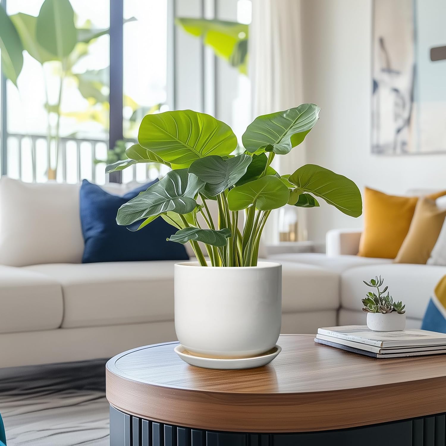 Ceramic Pot for Plants 7 Inch - Modern Round Indoor Outdoor Planter with Drainage Hole and Saucer, Home House Office