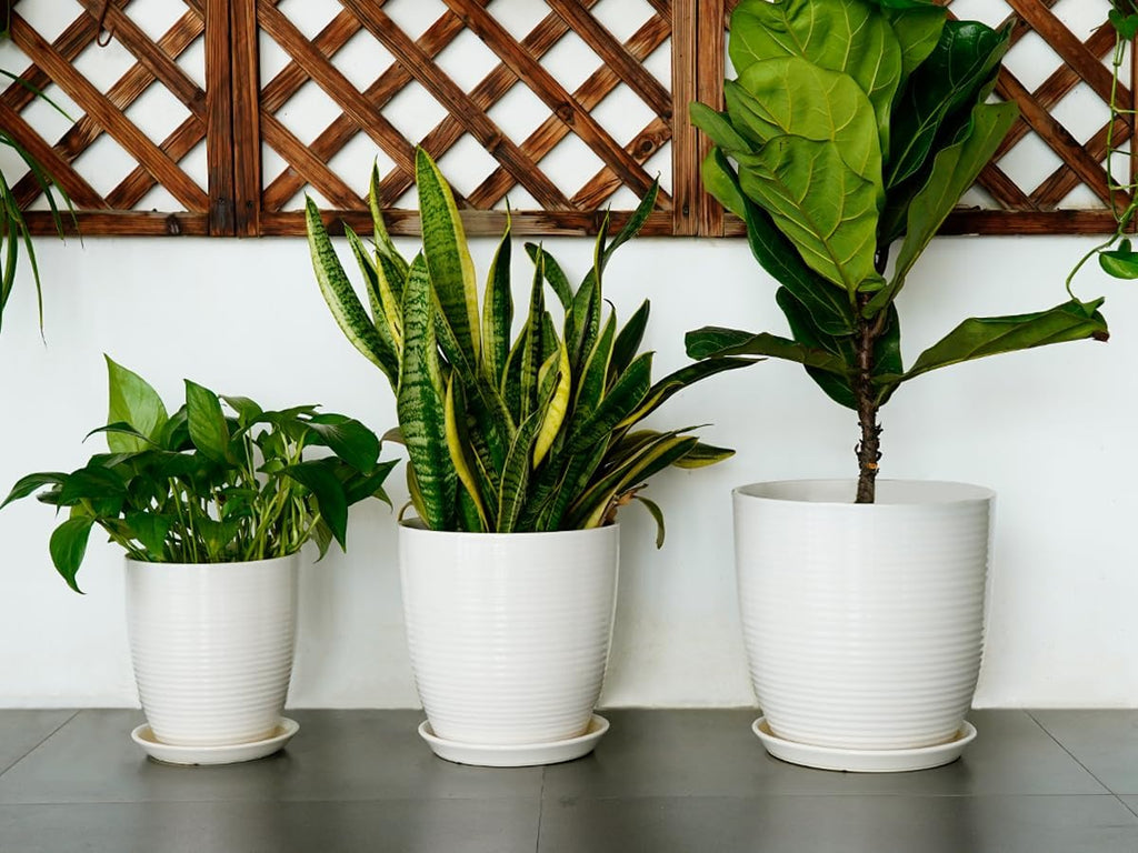 8 Inch Ceramic Planter Pot Round Plant Pot with Drainage Hole and Saucer Modern Flower Pot for Indoor Outdoor Plants