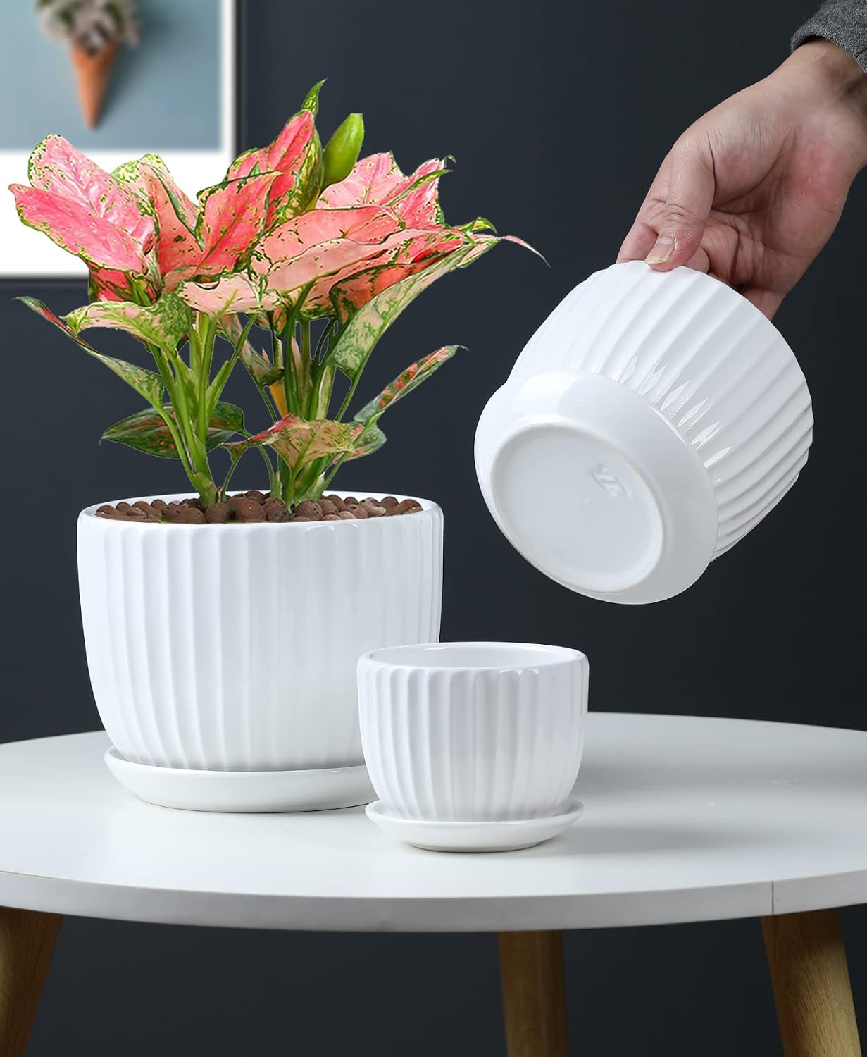White Plant Pots,Ceramic Flower Pot Set of 3 with Drainage Holes & Saucers | Ceramic Planters for Indoor Plants