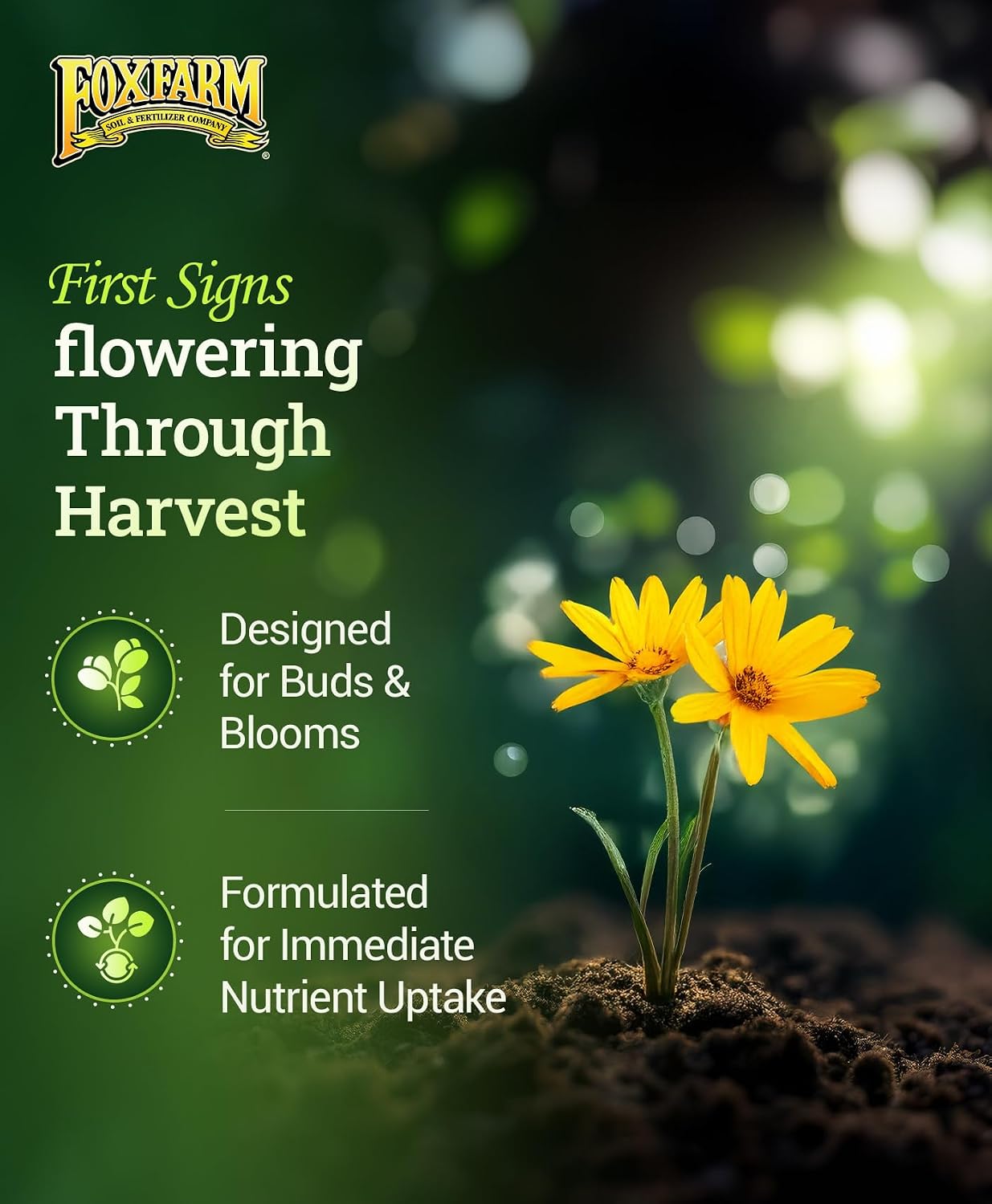 FoxFarm Hydro Liquid Trio Pack - Big Bloom, Grow Big Hydroponic, Tiger Bloom Fertilizers for Plant Growth, Bud