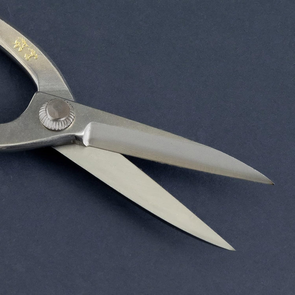 Wazakura Yasugi Stainless Steel Made in Japan Ashinaga Bonsai Scissors 8" (200 mm), Pruning Shears, Japanese Gardening