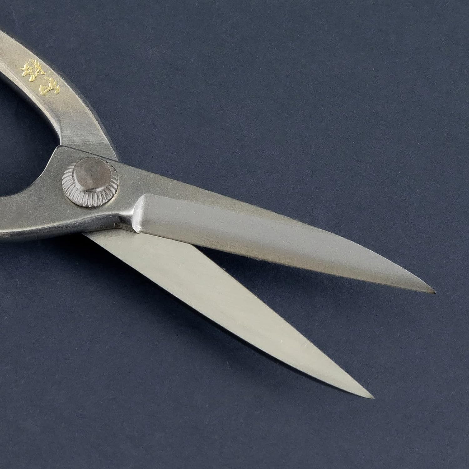 Wazakura Yasugi Stainless Steel Made in Japan Ashinaga Bonsai Scissors 8" (200 mm), Pruning Shears, Japanese Gardening