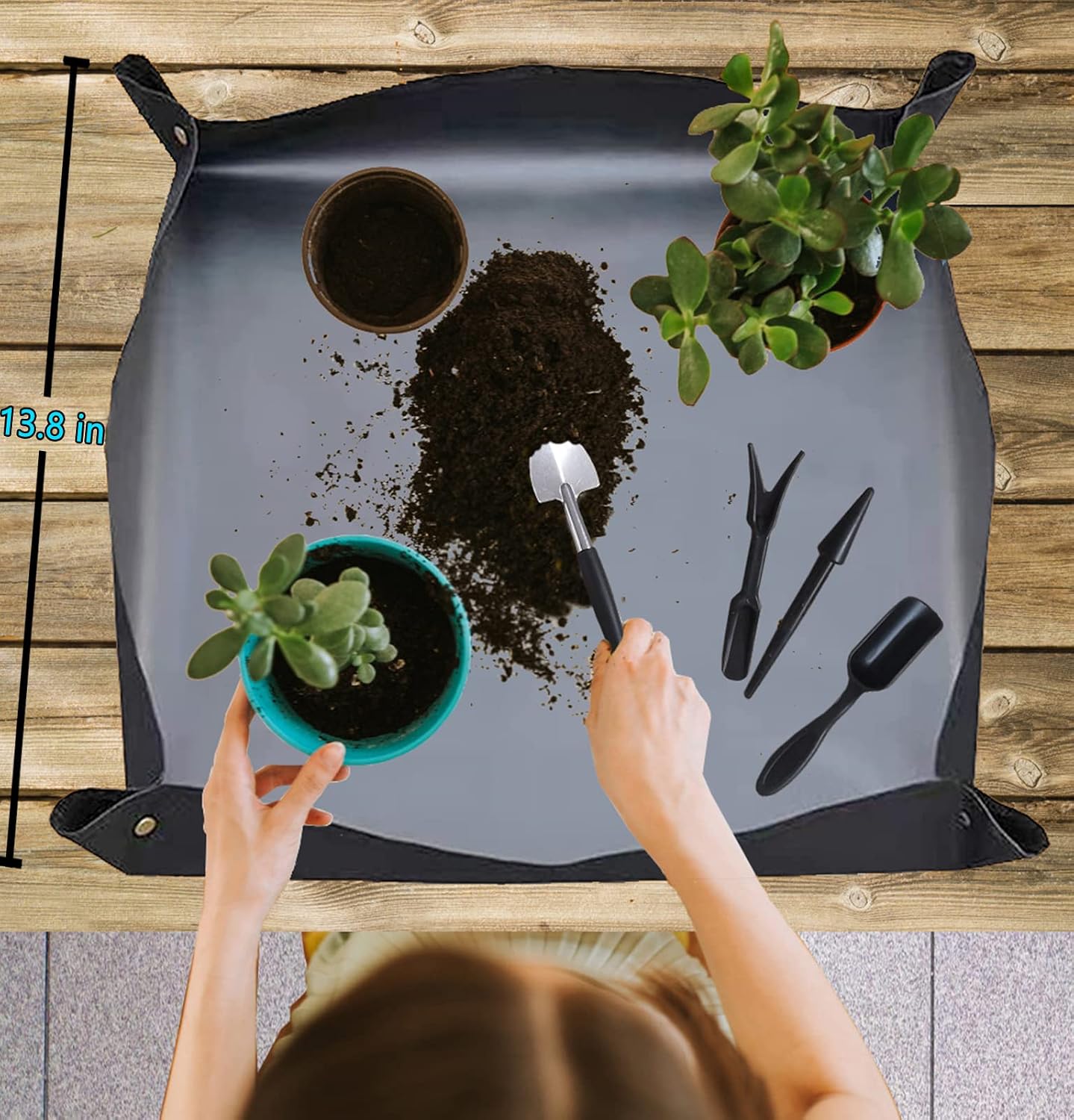Bonsai Tools Set, 38Pcs Gardening Trimming Tools Kit Indoor Succulent Tool with 4 Tree Training Wire, Plant Repotting