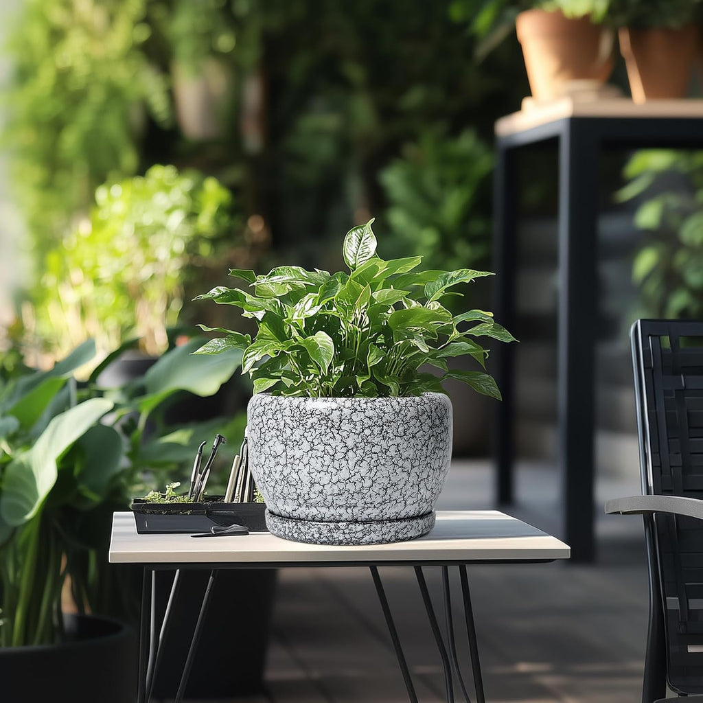 SQOWL 8 inch Plant Pot - Ceramic Planter with Drainage Hole and Saucer, Round Flower Pot for Indoor Plants, Decorative