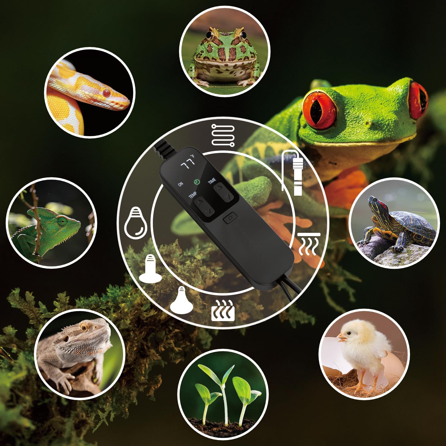 PID Dimming Thermostat Reptile with 24 Hours Cycle Timer for Reptiles Heat Lamp Heating Pad Seedling Heat Mat
