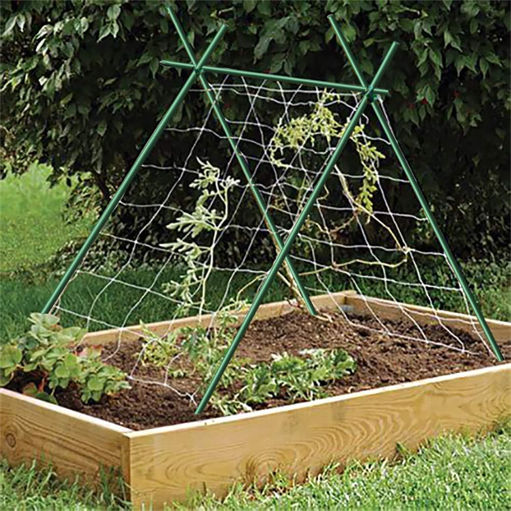 6ft Garden Stakes 20pack, Diameter 1/4'' Plant Stakes 72'' Long, Never Rust/Rot, Better Than Wood and Bamboo Stakes