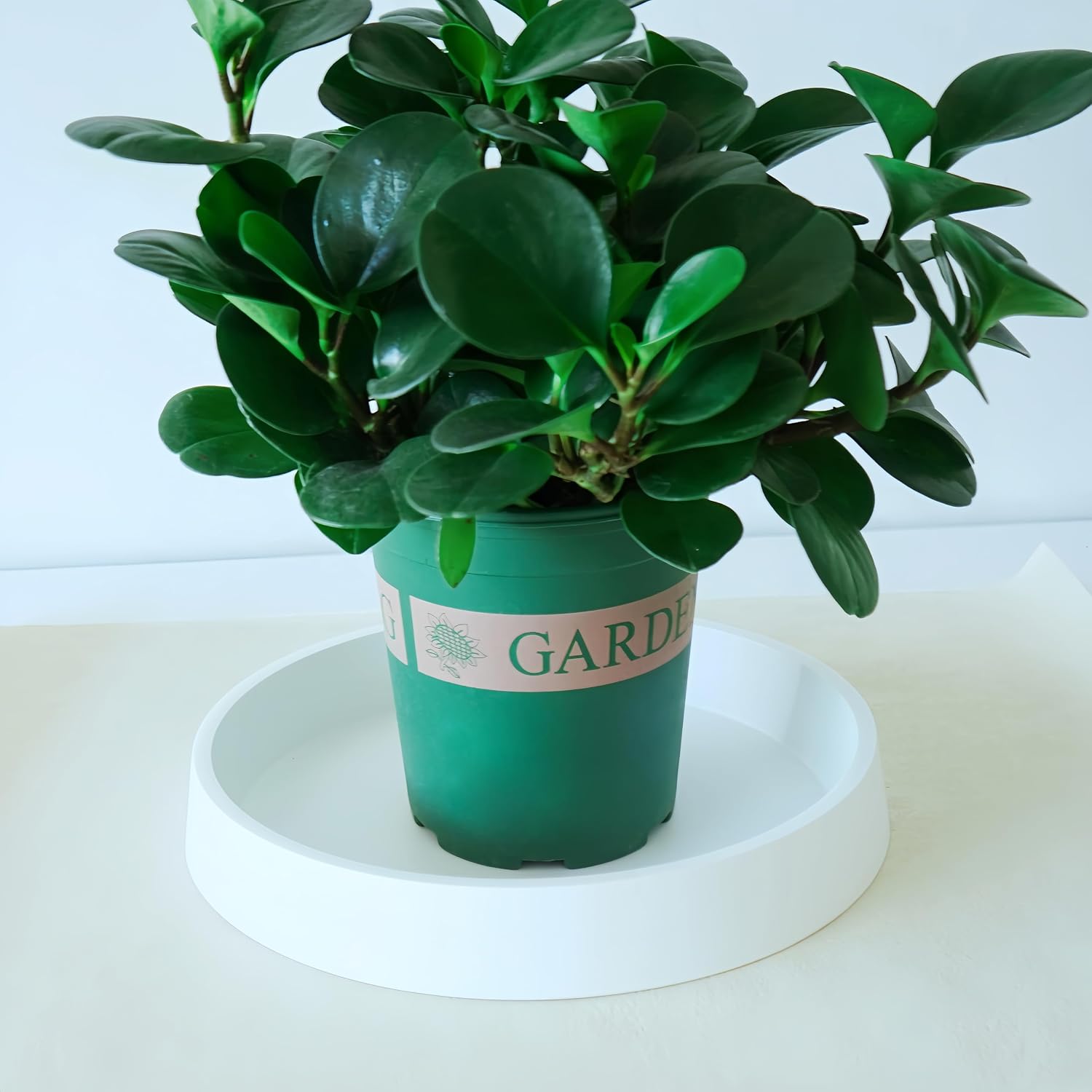 Plant Saucer Tray for Ceramic Plastic Pots, 20 inch Plant Saucers for Indoors, Pot Saucers Trays, Bird Bath Bowls