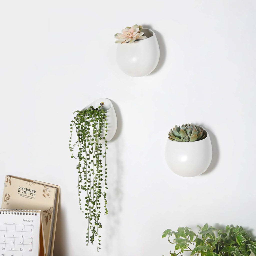 Mkono Ceramic Wall Planter for Indoor Plants 4 Inch Hanging Pot, Set of 3 | Succulents Air Plant Holder, White Round