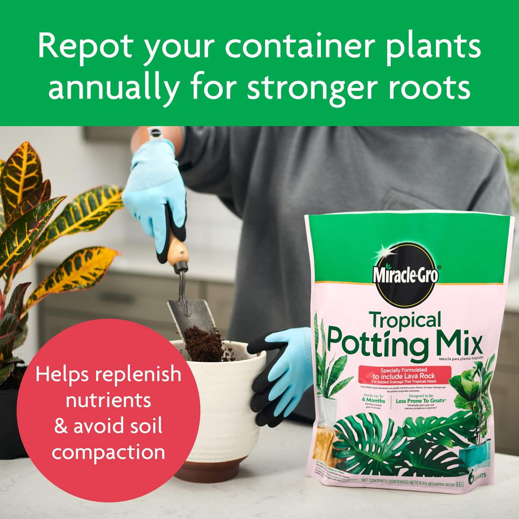 Gro Tropical Potting Mix, 6 qt. (2-Pack) | Growing Media for Tropical Plants Living in Indoor and Outdoor Containers