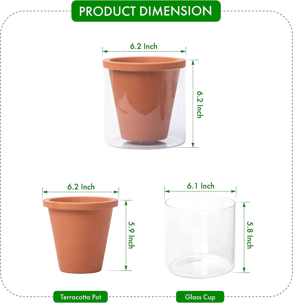 D'vine Dev Self Watering Terracotta Planter Pot, 6 in, 2-Pack, 37-Y-B-1 | Terracotta & Glass Design, Clear Water