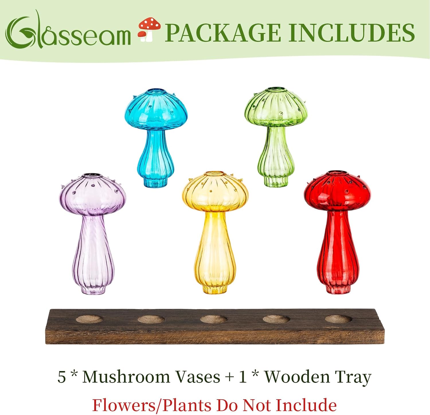 Glasseam Mushroom Propagation Station, Glass Plant Terrarium Jars with Tray | Colorful Small Hydroponic Planter, Pothos